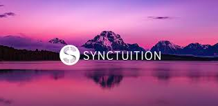 Gymwisely Partners with Synctuition