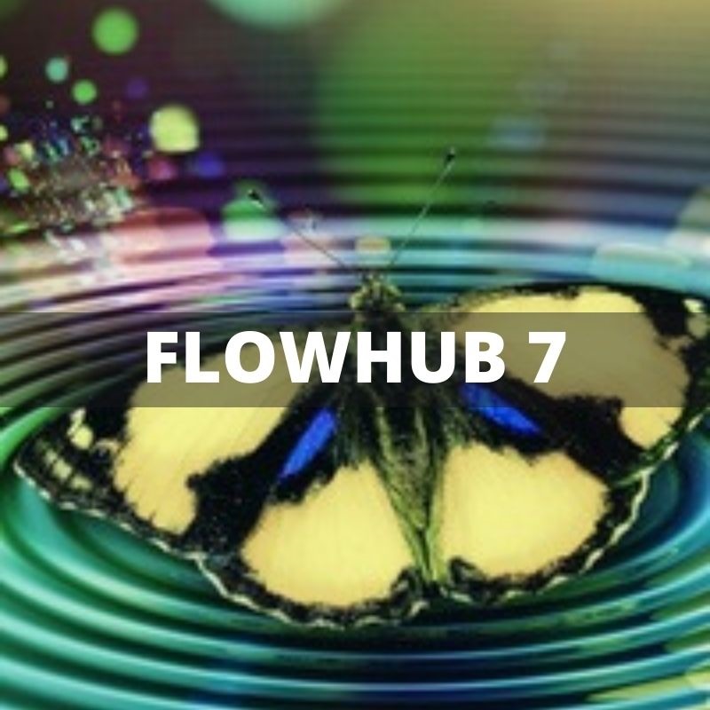 FlowHub7